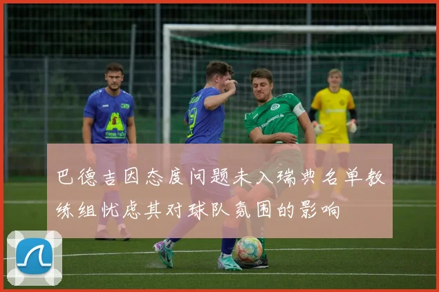巴德吉因态度问题未入瑞典名单教练组忧虑其对球队氛围的影响