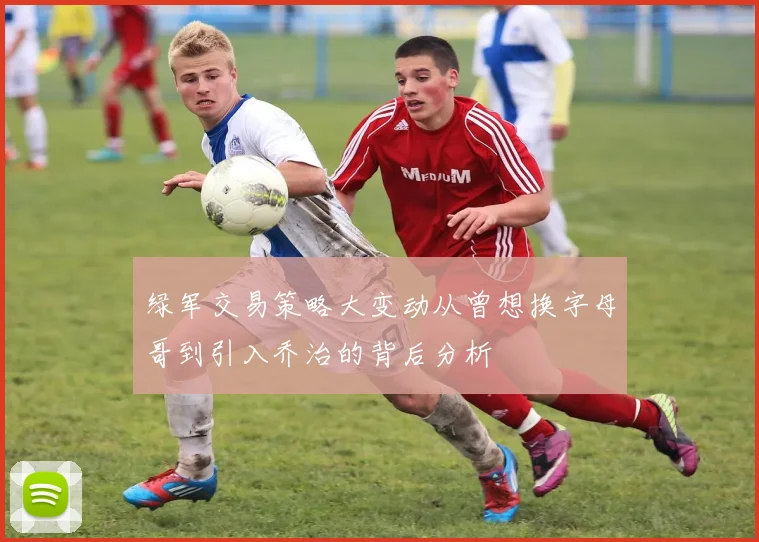 绿军交易策略大变动从曾想换字母哥到引入乔治的背后分析